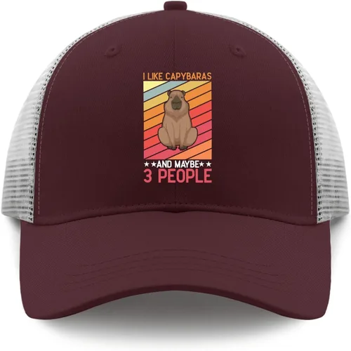 Vista 9 de devor Caps I Like Capybaras and Maybe 3 People Dad Hats, Graphic Baseball Cap for Women