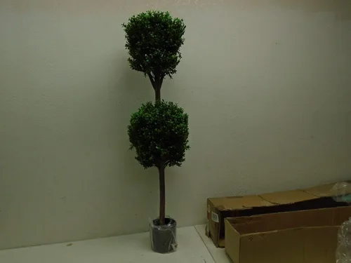 Vista 2 de Topiario de boj doble en forma de bola de 4' en maceta de plástico de dos tonos verde
