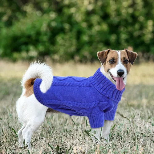 Vista 24 de Queenmore - Suéter de punto trenzado con cuello alto para perros pequeños, para climas fríos, para chihuahua, bulldog, teckel, carlino y yorkie, XS
