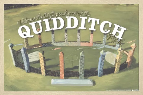 Vista 7 de Trends International El mundo mágico: Harry Potter - Póster de pared de Quidditch de testigo Versión con marco de bronce