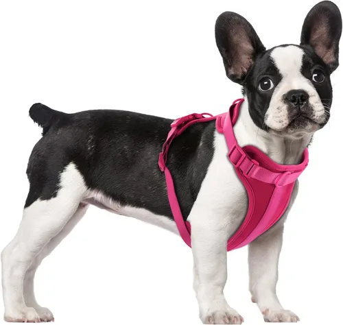 Vista 12 de Wisedog Arnés Ligero Sin Tirones para Perro: Arnés de Chaleco de Malla Transpirable Ajustable para Mascotas con Cojín Suave y Cómodo, para Perros