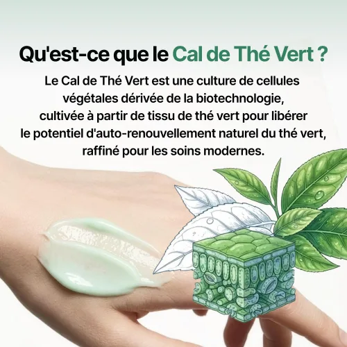 Vista 5 de Crema facial reparadora de barrera de té verde con pantenol, ceramida y colágeno, crema de barrera coreana para pieles sensibles Cuidado