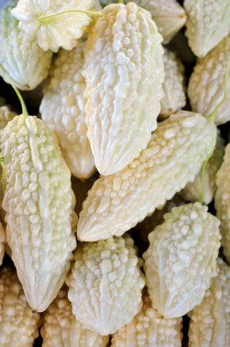 Vista 6 de Semillas de melón para plantar (10 semillas) - Cultiva tu propio alimento (Melón amargo negro)