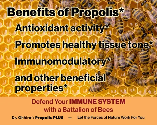 Vista 4 de Dr. Ohhira's Propolis Plus 60 cápsulas con propóleo verde brasileño, extracto probiótico y astaxantina
