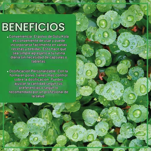 Vista 4 de Jiva Organics Gotu Kola Powder (Centella Asiatica) 7 onzas (7.05 oz) - Crudo, vegano, sin OMG