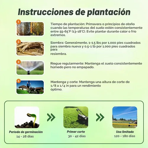 Vista 4 de Outsidepride Pure Select - Semilla de césped doblada rastrera – 1 libra de césped premium para poner verduras, camisetas y calles, semillas