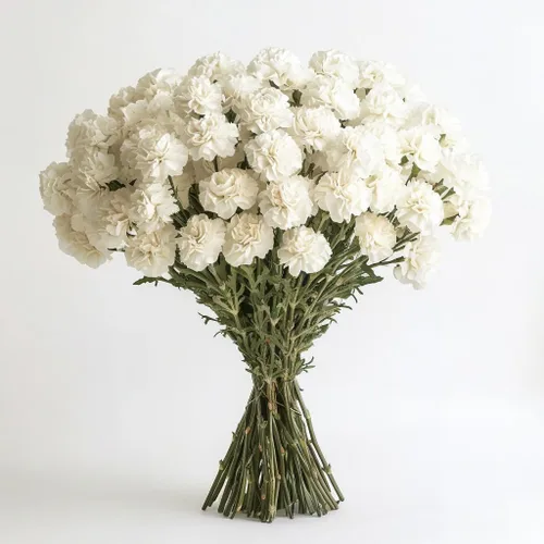 Vista 15 de GlobalRose 100 flores de clavel rojas - Claveles al día siguiente flores frescas para entrega Prime - Ramo fresco seleccionado a mano para Rojo