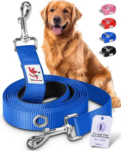 Vista 11 de Correa de perro manos libres para entrenamiento, correr, correa de cintura y hombro para caminar, correa de tráfico, correa doble para mascotas