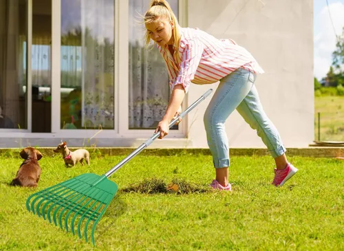 Vista 8 de Gardzen - Cucharilla de hojas (tamaño grande, 12 dientes, para jardinería)