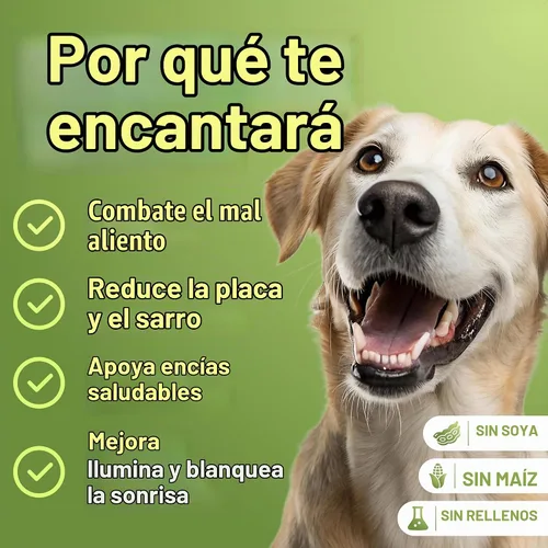 Vista 3 de WuffWell - Polvo dental probiótico para dientes de perros, fabricado en Allergy Itch