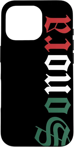 Vista 20 de Sonora Mexico Mexican Flag State Estado Case for iPhone 16