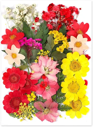 Vista 18 de Augshy Juego de flores secas prensadas reales con calcomanías transparentes de mariposa, calcomanías para álbumes de recortes, flores secas