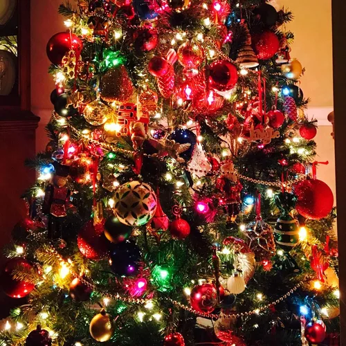 Vista 5 de FUNPENY Guirnalda de luces LED decorativas de Navidad de 164 pies, 500 luces LED de Navidad para interiores y exteriores, 8 modos, impermeable