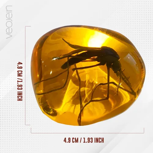 Vista 8 de VEOJEIN Mosquito in Amber Fossil Réplica peso ligero - Ventana antigua del ADN - Reliquia de la era del dinosaurio - Artefacto de resina premium