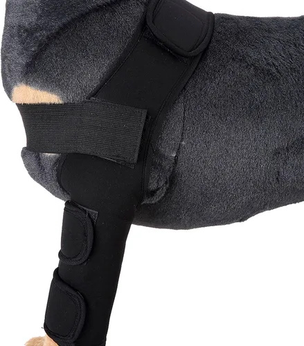 Vista 4 de Soporte de pierna de perro para pierna delantera y codo, protector de compresión para desgarro de ACL para cicatrización de heridas, prevención