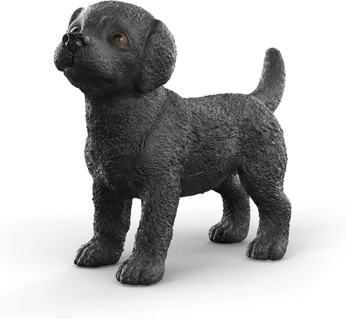 Vista 7 de Schleich Negro Labrador Retriever Mujer 14923