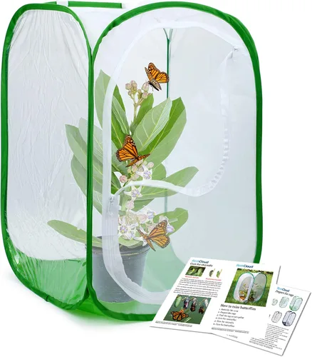 Vista 8 de RESTCLOUD - Jaula de insectos profesional con diseño de mariposas, parte inferior de poliéster para una limpieza más fácil