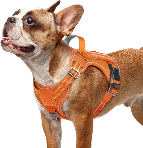 Vista 33 de rabbitgoo - Arnés para perros pequeño sin tirones, chaleco táctico de servicio con Molle y asa de control, arnés militar ajustable y reflectante