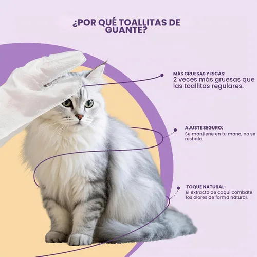 Vista 5 de IMMHABI - Toallitas hipoalergénicas para perros y gatos, 50