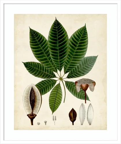 Vista 17 de Amanti Art Vision Studio - Lienzo decorativo para pared, 24 x 20 pulgadas, follaje verde VII por Vision Studio, arte de pared de naturaleza