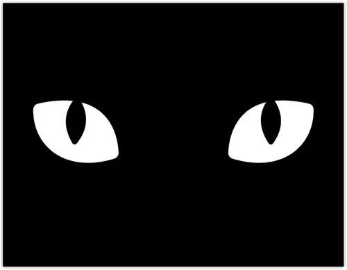 Vista 71 de Señal de Gato de 24 Horas de Vigilancia Felina de Premises Under 24 Hour - Cartel de gato divertido, metal, 8 x 12 pulgadas, letreros de gato