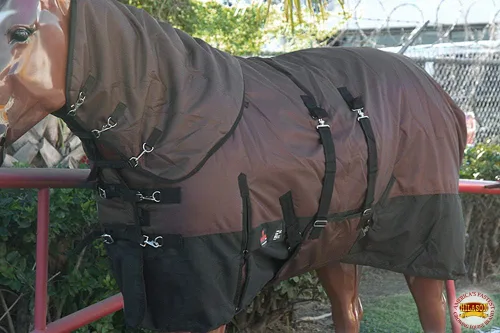 Vista 3 de HILASON 1200D Manta de invierno impermeable para caballo con cubierta para el cuello y envoltura para el vientre Mantas de participación