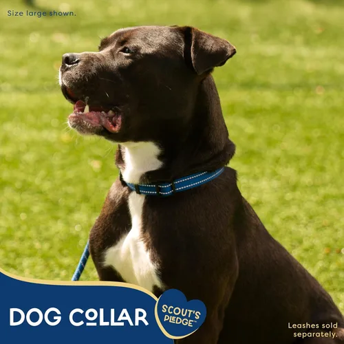 Vista 2 de Good Scout Collar de perro resistente para perros pequeños, collar de entrenamiento para cachorros con bucle flexible ajustable para un ajuste