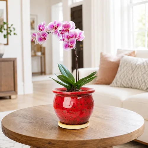 Vista 5 de ARTKETTY Macetas de 4.5 pulgadas con drenaje, pequeñas macetas de cerámica para plantas de interior Rojo