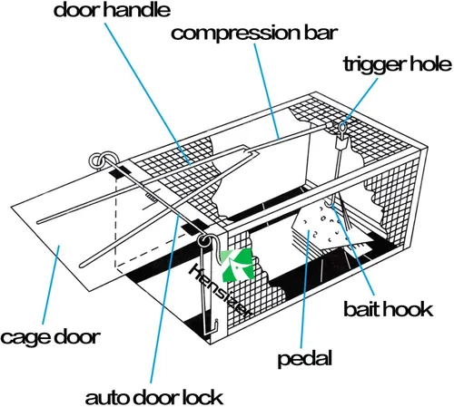 Vista 3 de Kensizer Paquete de 2 trampas para jaula animal, humana, que funciona para ratones, ratones, ardillas, ratones, ratones, ratones, hámsteres y otros