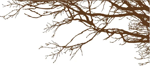 Vista 13 de Adhesivo decorativo para pared de árbol grande, ramas negras semi-brillantes, (21 x 50 pulgadas) de izquierda a derecha. Extraíble, no necesita