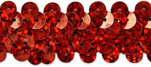 Vista 3 de Expo International - Tira de lentejuelas brillantes elásticas de 20 yardas de 2 filas de 7/8 pulgadas, diseño de holograma