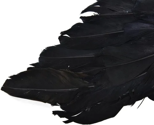 Vista 5 de PGXT - Disfraces de fiesta de Halloween, alas de ángel, balck, 60*45CM
