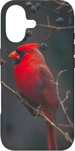 Vista 32 de Funda para iPhone 16 Cardinal Bird