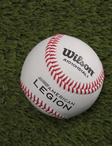 Vista 4 de Wilson A1010