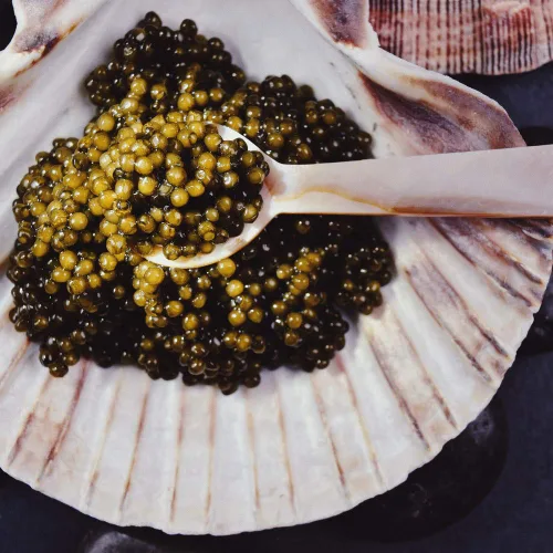 Vista 3 de $41.5 oz. Caviar, Kaluga Sturgeon Calidad Suprema 8 oz 8.01 oz