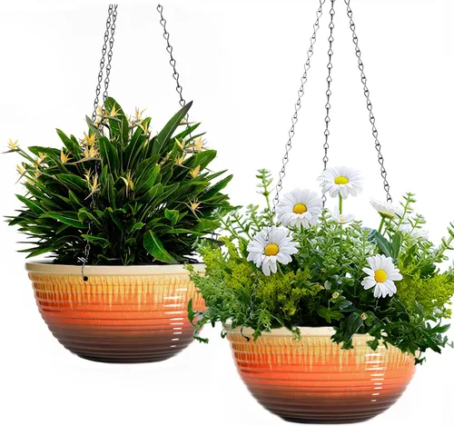 Vista 10 de Macetas colgantes de 10 pulgadas para plantas de interior y exterior, paquete de 2 macetas colgantes con orificio de drenaje, macetas colgantes