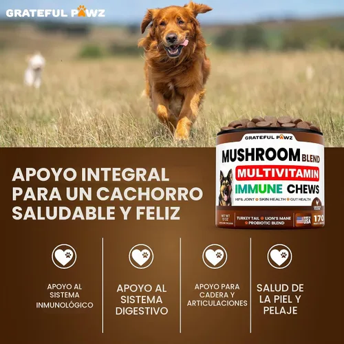 Vista 5 de Suplemento de hongo de cola de pavo para perros, 170 masticables, hongos para perros, Reishi, melena de león, multivitamínico de glucosamina