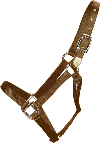 Vista 22 de Hamilton Caballo de nailon de 1 pulgada, tamaño pequeño (500-800 libras), azul baya