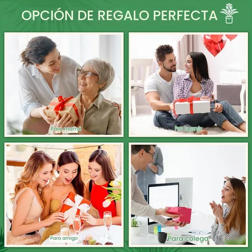 Vista 6 de 4 piezas de bambú soporte interior 3 niveles suculento ventana