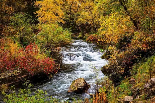 Vista 7 de Black Hills Photography Print (Not Framed) Picture of Creek Surrounded by Fall Foliage on Autumn Day in Spearfish Canyon South Dakota Nature Wall
