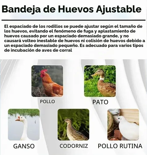 Vista 3 de Incubadora Automática para Incubar Huevos, Actualización con Adición Automática de Agua, Incubadora de Pollos con Control de Temperatura y Humedad