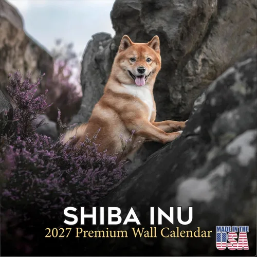 Vista 61 de Calendario de Lebrel Afgano 2025 2026, calendario mensual de pared de raza canina, 12" x 18" abierto, papel grueso sin traspaso, ideal para regalo
