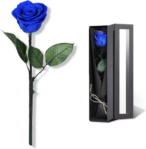 Vista 15 de Flores para Entrega Prime, Rosas Preservadas Regalos de Flores para Mujeres, Rosas Reales Regalos de Rosa Individual para Ella, Regalos