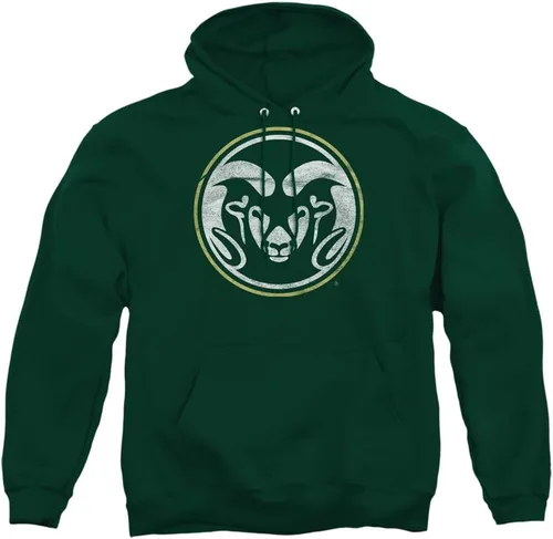 Vista 172 de Distressed College Primary Logo Adult Pullover Hoodie Collection 1 Universidad Estatal de Albany