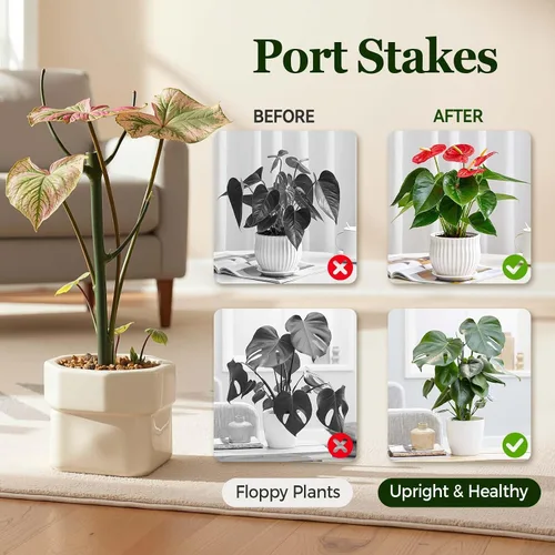 Vista 6 de Paquete de 10 estacas apilables Monstera para plantas, soportes ajustables para plantas pequeñas en macetas de interior, potos, filodendro, hiedra