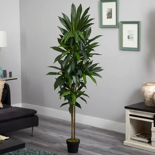 Vista 3 de Nearly Natural Planta de seda Dracaena de 6 pies (tacto real)