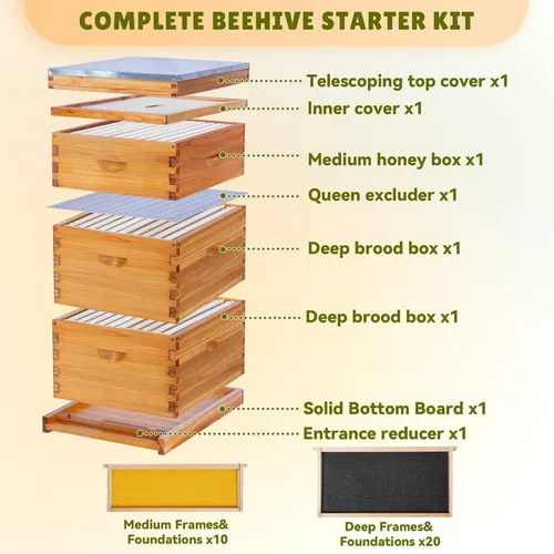 Vista 2 de Kit completo de colmena de abeja Langstroth de 10 marcos con revestimiento de cera de abeja, incluye marcos de colmena y hojas de base enceradas