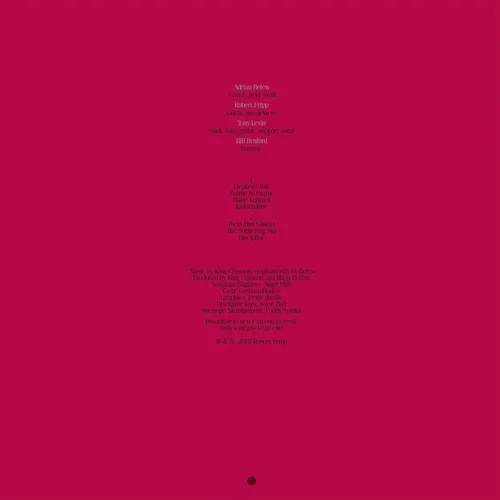 Vista 2 de Discipline - Steven Wilson Robert Fripp Mixes - 200gm