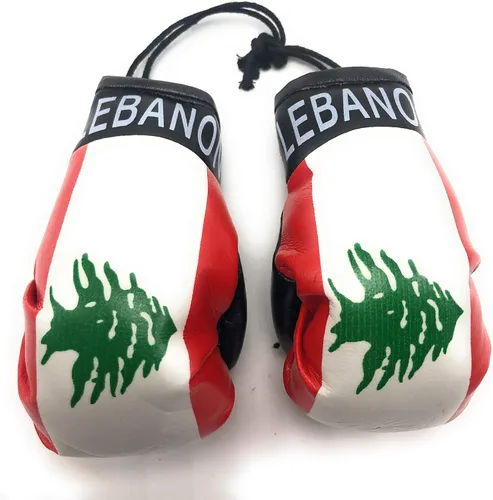 Vista 32 de Mini guantes de boxeo para colgar en el espejo del coche (Camerún)