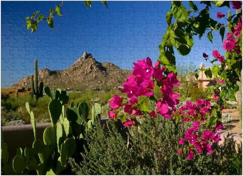 Vista 7 de MyPuzzle Bougainvillea with Pinnacle Peak, Scottsdale, Arizona, Estados Unidos, rompecabezas prémium de 500 piezas para adultos